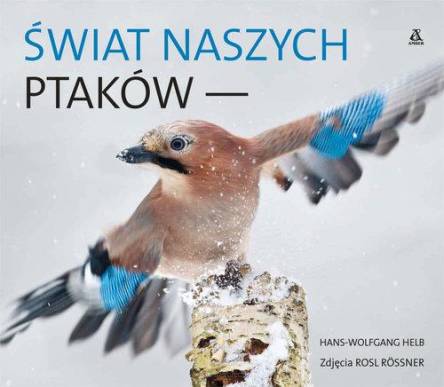 Świat naszych ptaków