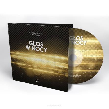 Głos w nocy. Audiobook na CD- Surprise Sithole