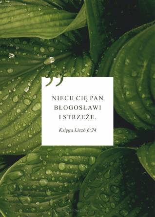 Kartka z kopertą. Niech cię Pan błogosławi i strzeże - Liście